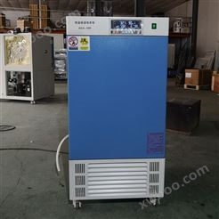 DHP-9082电热恒温培养箱质量可靠