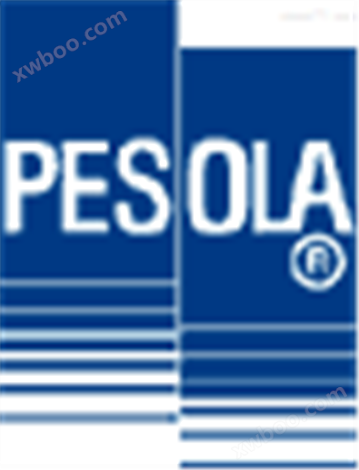 瑞士PESOLA 电子挂秤 数字挂秤 电子拉力计 测力计PHS200 200kg