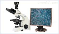 澳浦UB100i-PH系列相衬生物显微镜