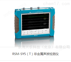 RSM-SY5（T）非金属声波检测仪