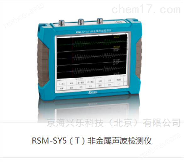 RSM-SY6基桩声波检测仪