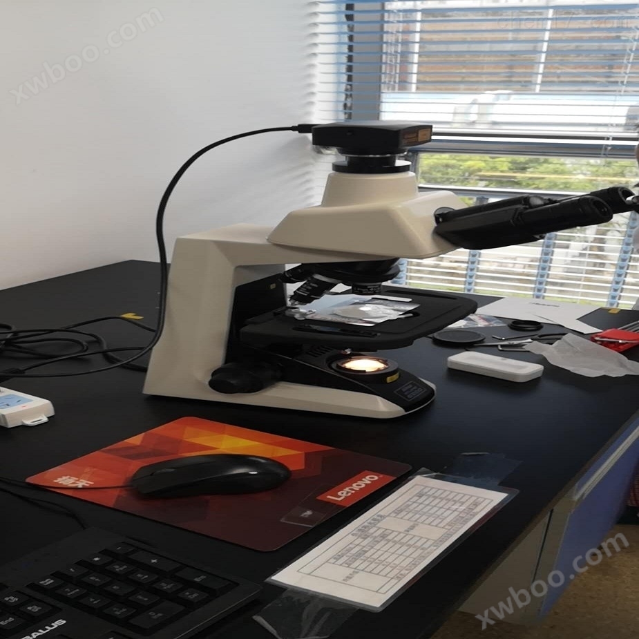 显微镜物镜（水镜）UMPLFLN20XW