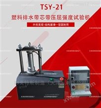 TSY-21塑料排水带芯带压屈强度试验机-标准