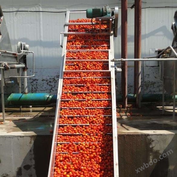 红提果酱生产线