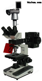 XSP-BM-13CV ，摄影落射荧光显微镜镜价格