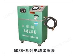 6DSB-系列电动试压泵