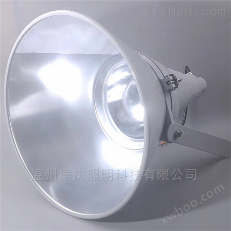 LED平台灯-70W泛光灯现货-防眩照明灯具