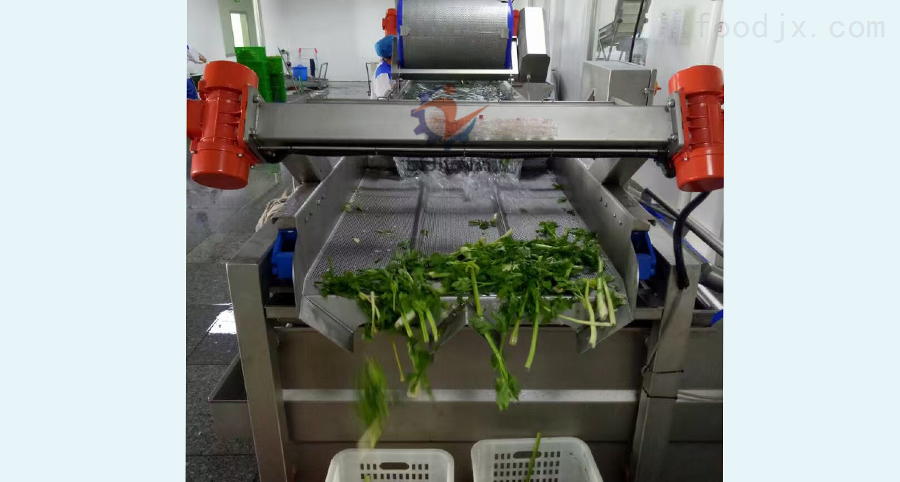 净菜加工 整套蔬菜清洗机